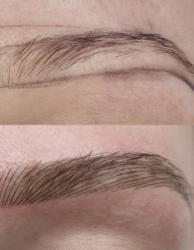 micropigmentación Cejas